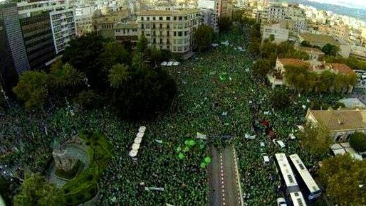 29s palma 3
